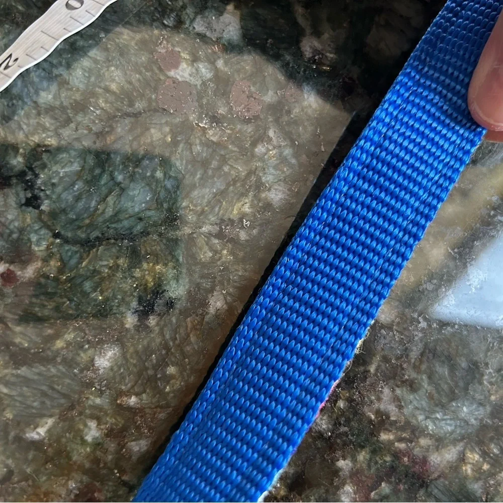 A Tail We Could Wag women’s striped belt with silver buckle. Colorful. Dog lover - Picture 9 of 10